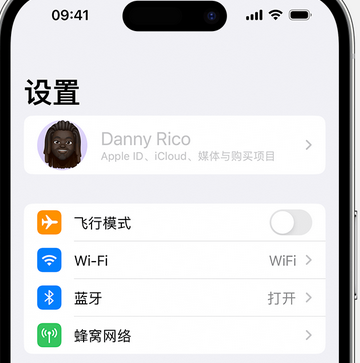 宁明appleID维修服务iPhone设置中Apple ID显示为灰色无法使用 