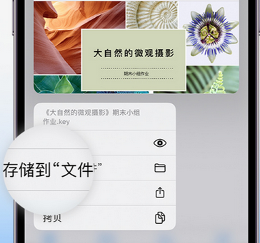 宁明apple维修中心分享iPhone文件应用中存储和找到下载文件