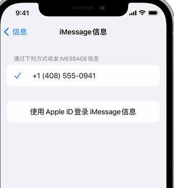 宁明apple维修iPhone上无法正常发送iMessage信息 