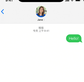 宁明apple维修iPhone上无法正常发送iMessage信息