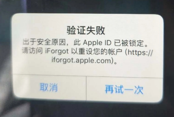 宁明iPhone维修分享iPhone上正常登录或使用AppleID怎么办 