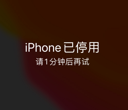 宁明苹果手机维修分享:iPhone 显示“不可用”或“已停用”怎么办？还能保留数据吗？ 