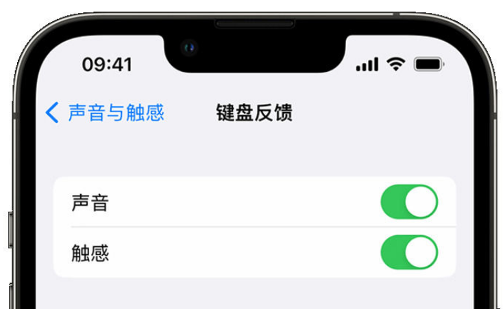 宁明苹果手机维修分享iPhone 14触感键盘使用方法 