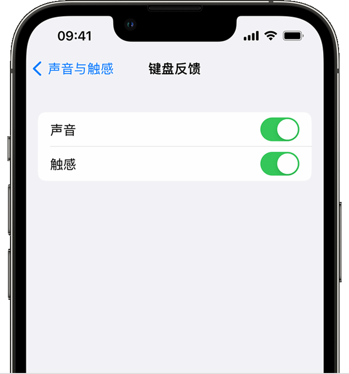 宁明苹果14维修店分享如何在 iPhone 14 机型中使用触感键盘 