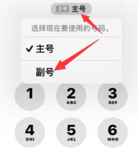 宁明苹果14维修店分享iPhone 14 Pro Max使用副卡打电话的方法 