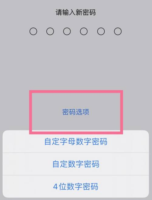 宁明苹果14维修分享iPhone 14plus设置密码的方法 