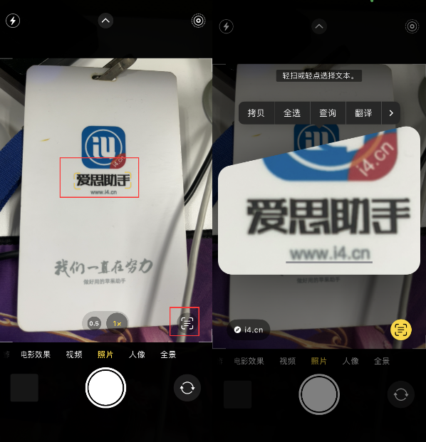 宁明苹果手机维修分享升级iOS 16后如何通过相机翻译文本 
