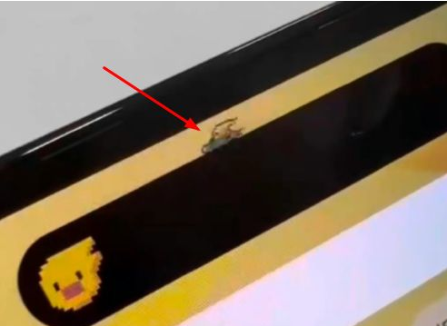 宁明苹果14维修分享iPhone 14 Pro Max灵动岛怎么养宠物 