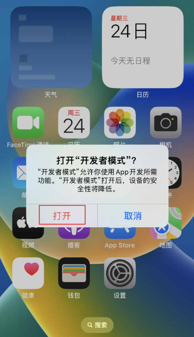 宁明苹果手机维修分享如何打开开发者模式 