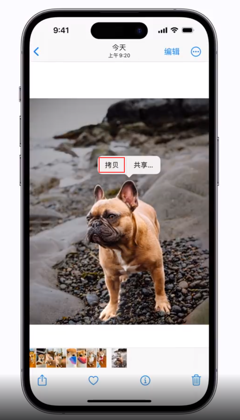 宁明苹果手机维修分享 iOS 16 自带一键抠图功能 