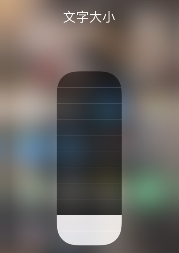 宁明苹果手机维修分享小技巧：在 iPhone 控制中心快速调节字体大小 