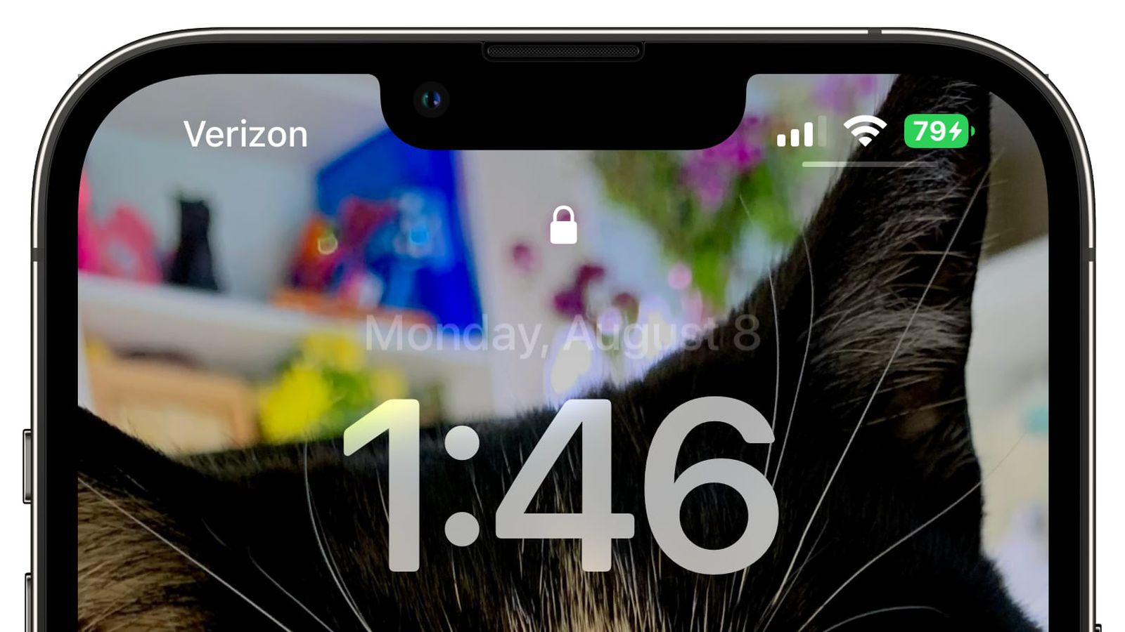宁明苹果手机维修分享iOS 16 beta 5 支持状态栏显示电池百分比，如何开启？支持哪些机型 