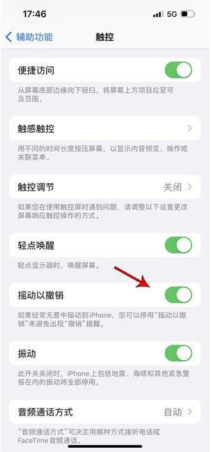 宁明苹果手机维修分享iPhone手机如何设置摇一摇删除文字 