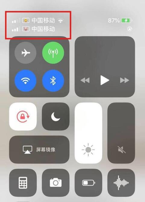 宁明苹果手机维修分享为 iPhone 12 双卡设置标签 